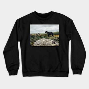 Wild Horses Crewneck Sweatshirt